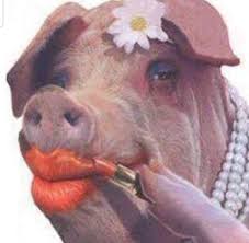 Lipsticked Pig